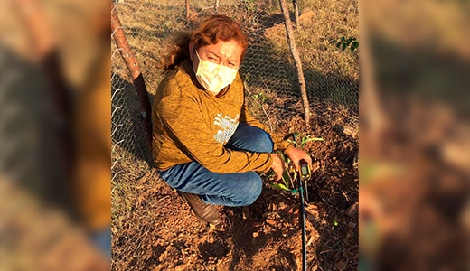 Investigadora del TecNM Acatlán busca triplicar producción de cuatomate en la Mixteca