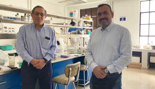 Investigadora del Campus Roque publica artículo científico en revista Agronomy