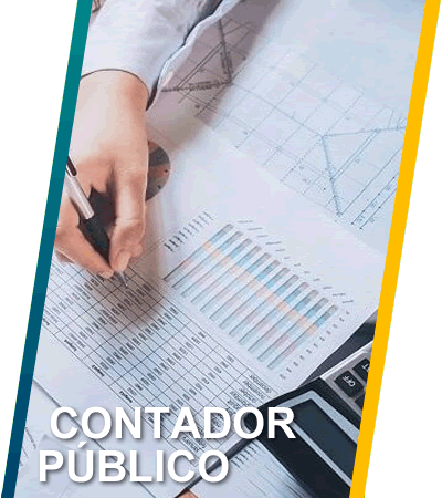 CONTADOR PUBLICO