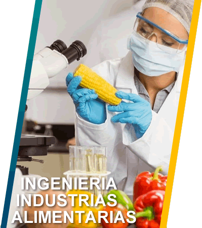 ING IND ALIMENTARIAS