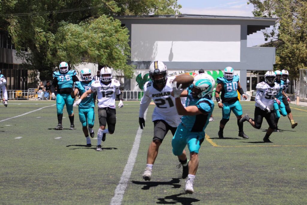 Estudiantes del Tecnológico de Cd. Cuauhtémoc, arrasan en su cuarto partido de americano. Derrotando 14-0 a Pumas Club de Chihuahua.